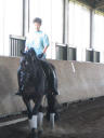 http://www.1derful.com/hanoverian/montserrat/Thumbnails/Monti2.jpg