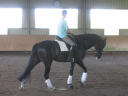 http://www.1derful.com/hanoverian/montserrat/Thumbnails/Monti1.jpg